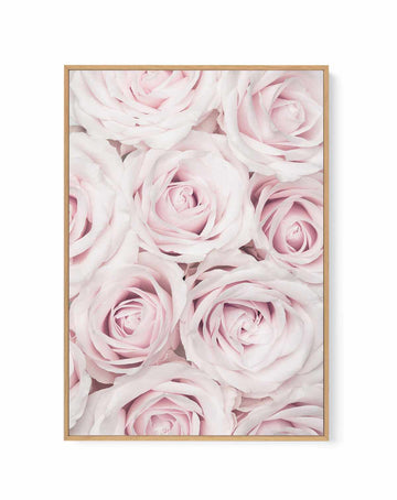 Pink Roses No 03 By Studio III | Framed Canvas Art Print from Olive et Oriel where you can shop wallpaper and artworks online