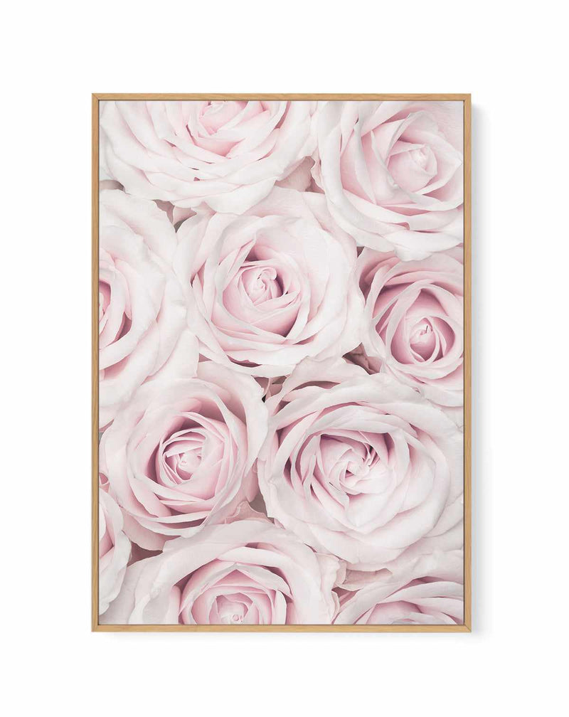 Pink Roses No 03 By Studio III | Framed Canvas Art Print