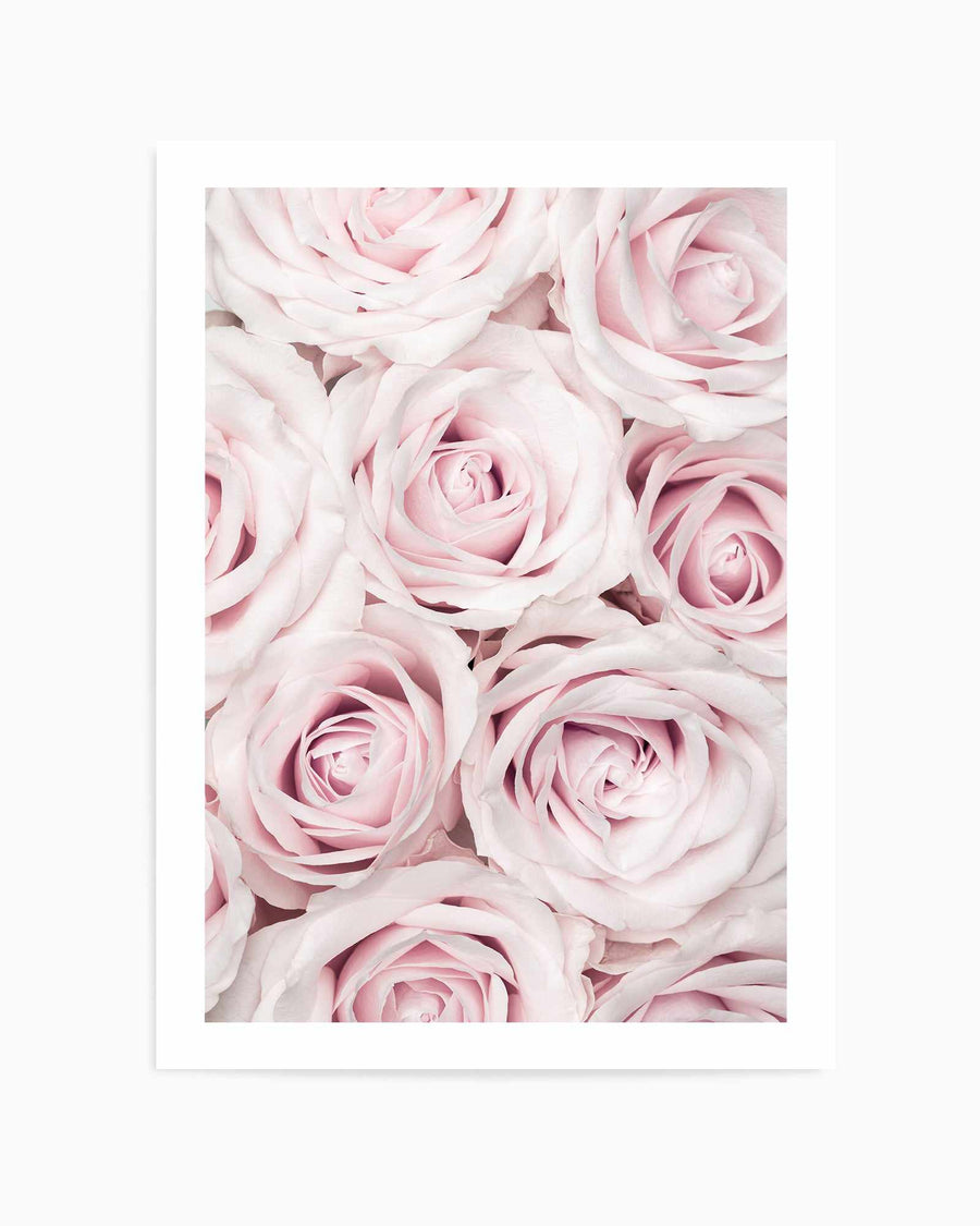 Pink Roses No 03 By Studio III | Art Print from Olive et Oriel where you can shop wallpaper and artworks online