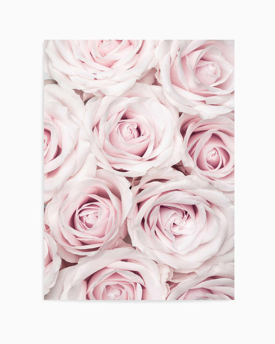 Pink Roses No 03 By Studio III | Art Print from Olive et Oriel where you can shop wallpaper and artworks online