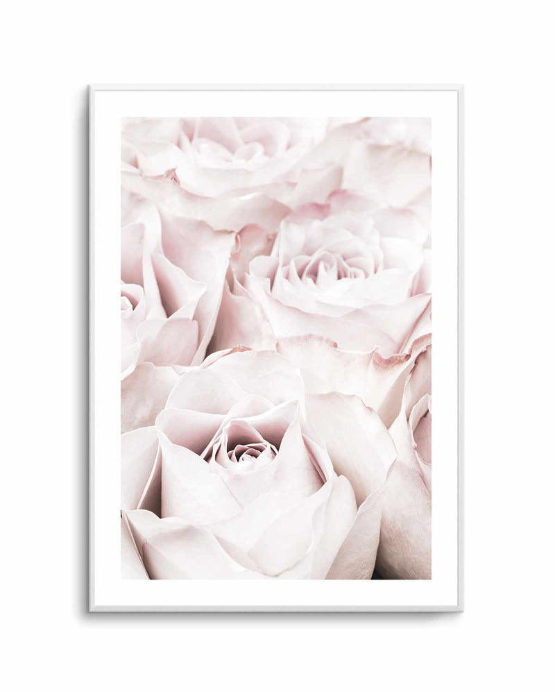 Pink Roses No 04 By Studio III | Art Print