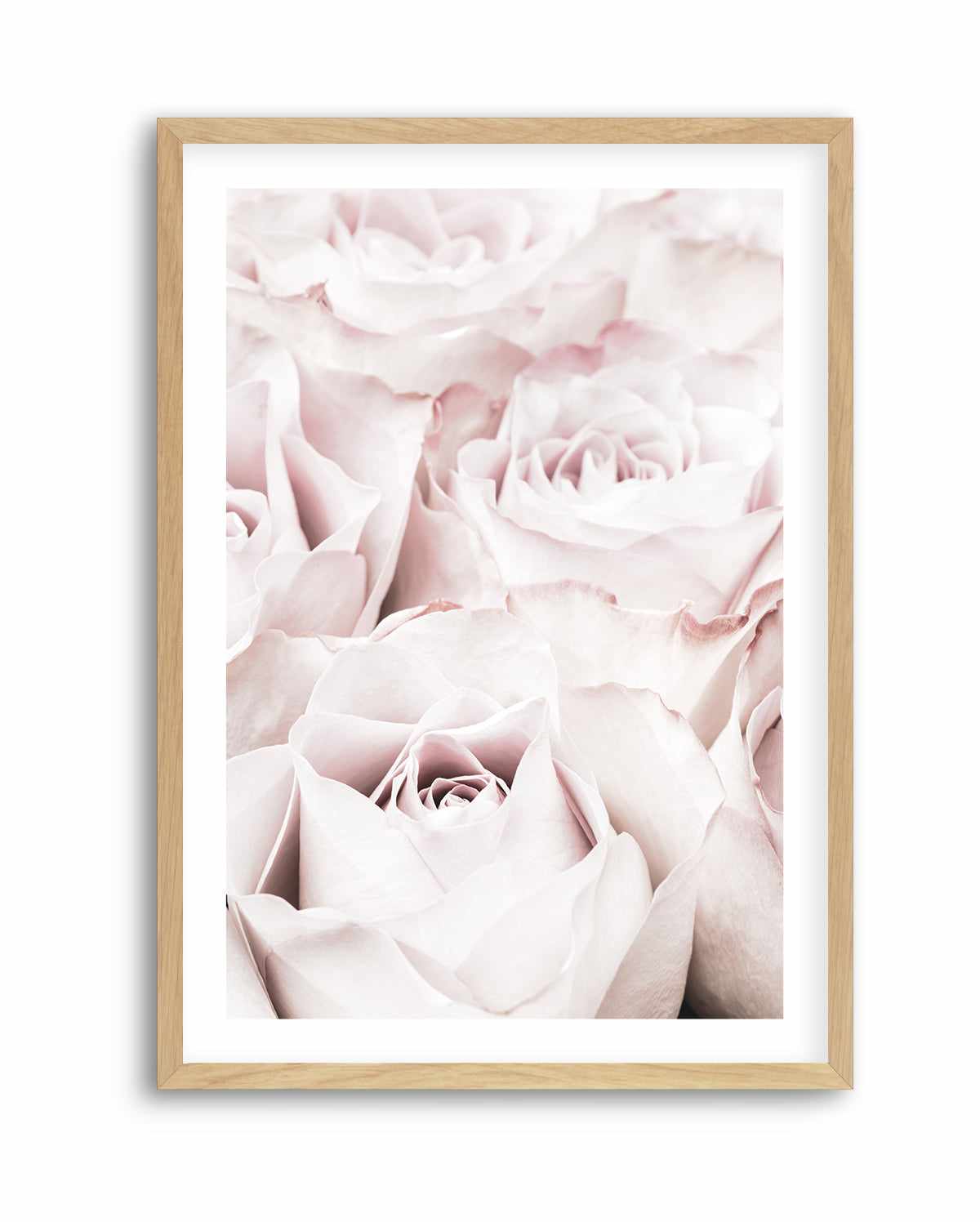 Pink Roses No 04 By Studio III | Art Print