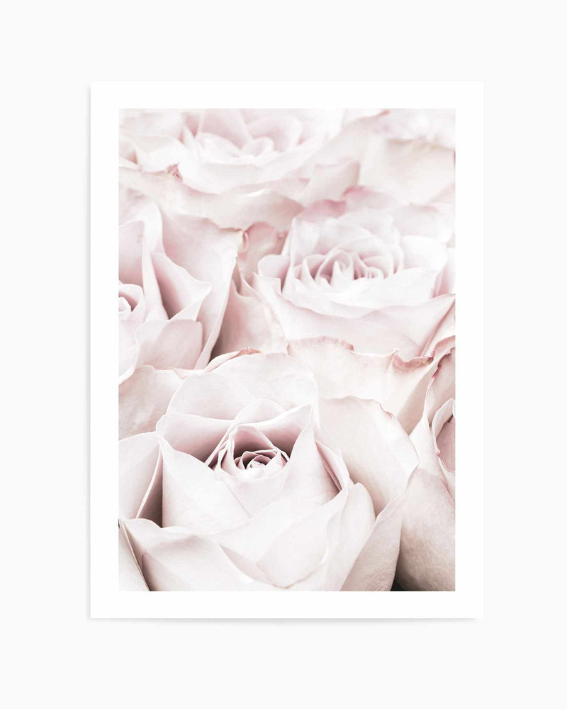 Pink Roses No 04 By Studio III | Art Print