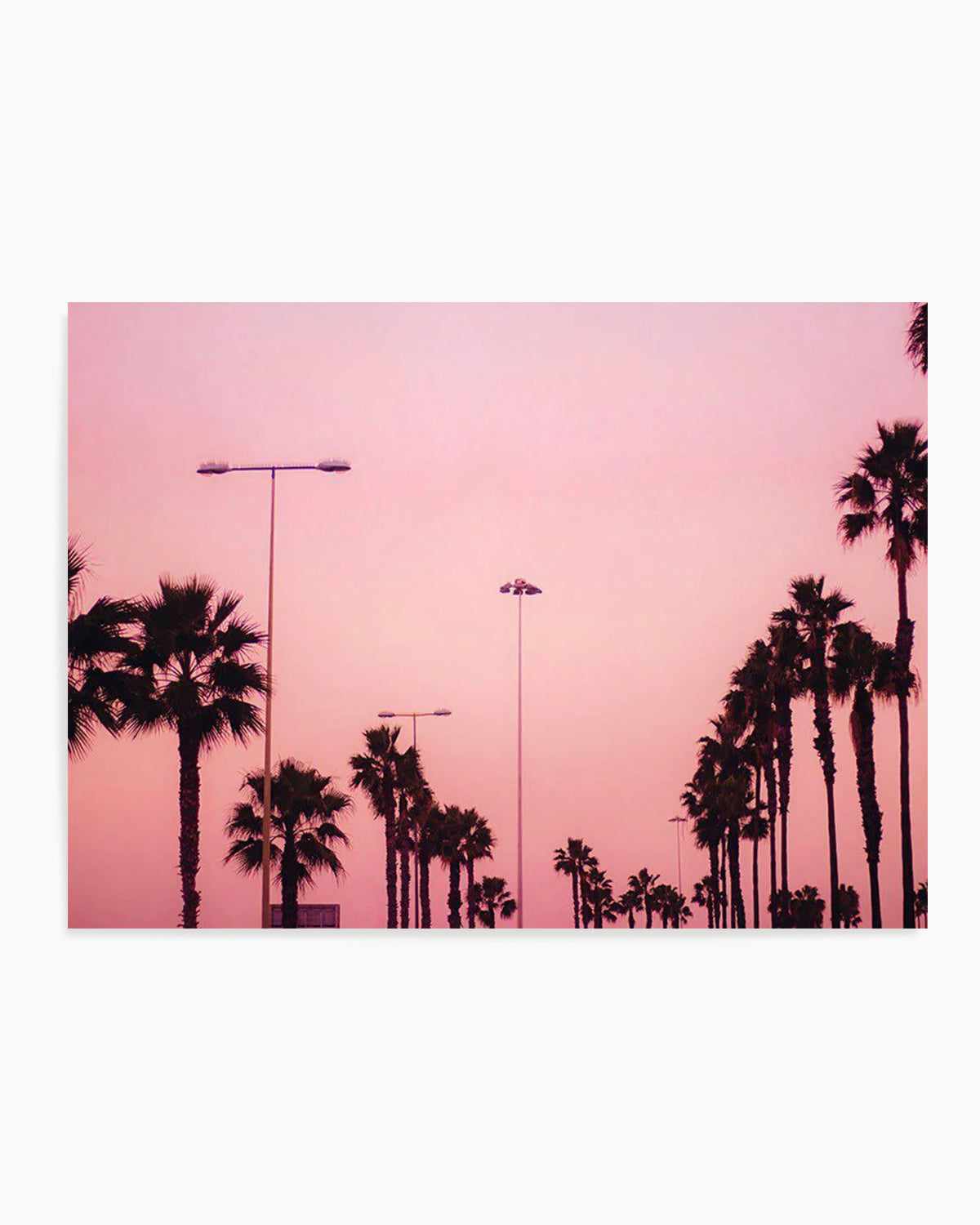 Pink Skies Ahead Art Print