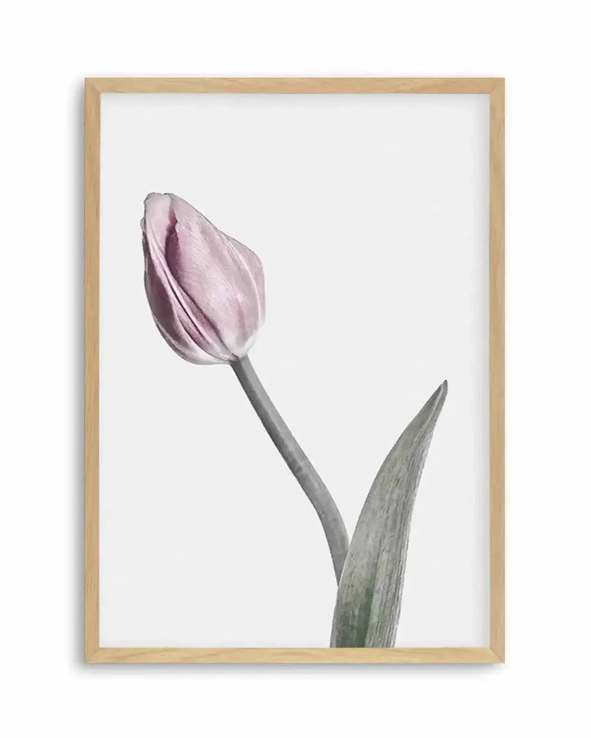 Pink Tulip Illustration I Art Print from Olive et Oriel where you can shop wallpaper and artworks online