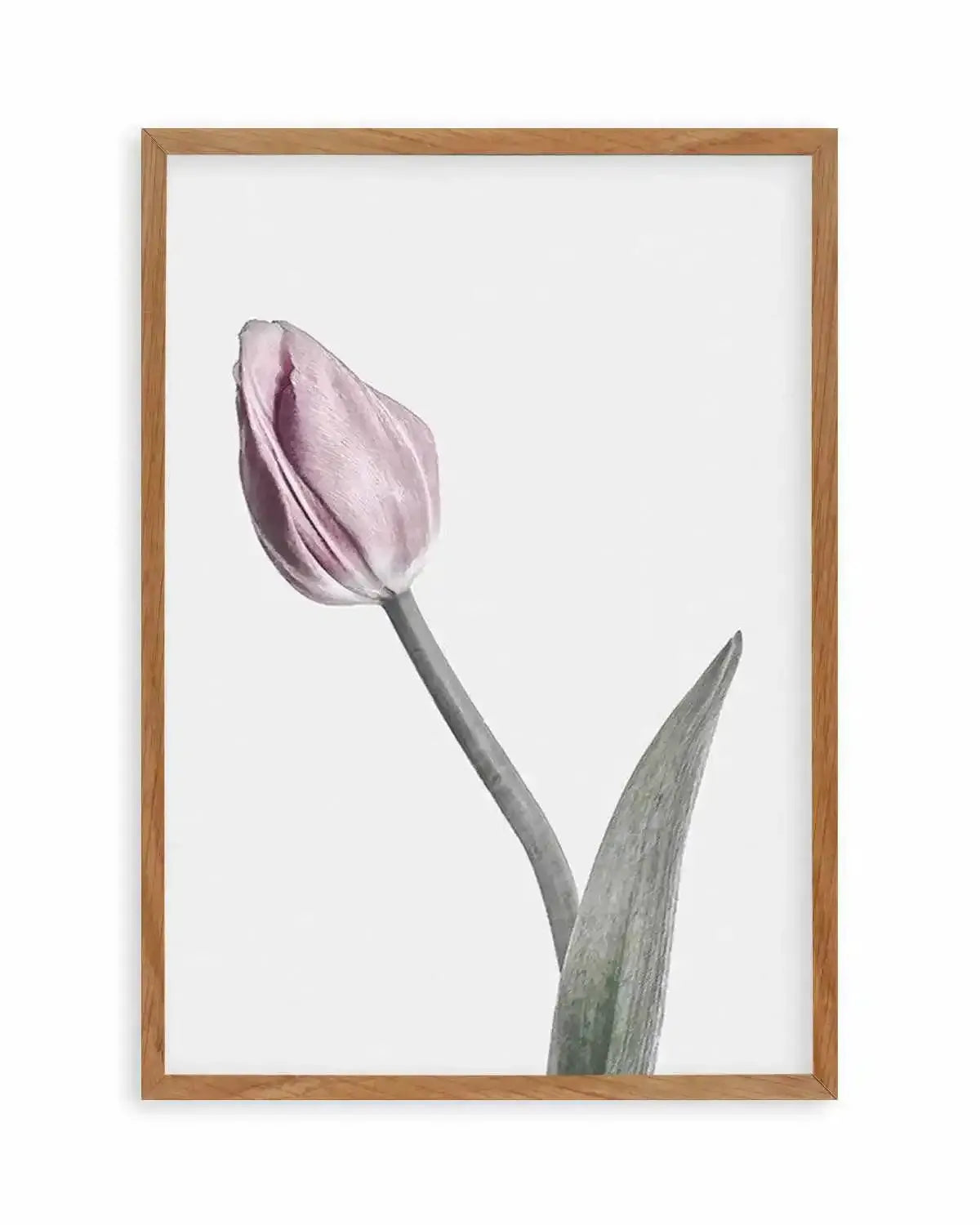 Pink Tulip Illustration I Art Print from Olive et Oriel where you can shop wallpaper and artworks online