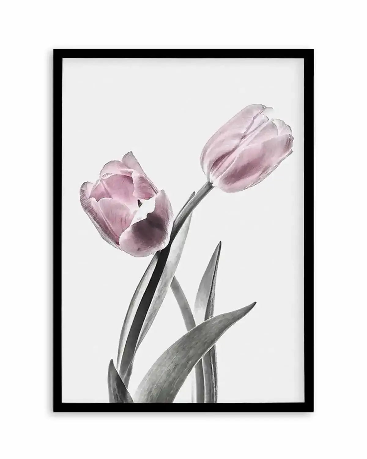 Pink Tulip Illustration II Art Print from Olive et Oriel where you can shop wallpaper and artworks online