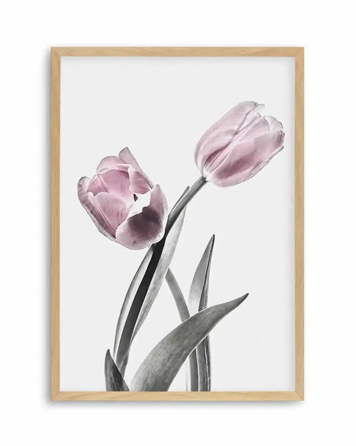 Pink Tulip Illustration II Art Print from Olive et Oriel where you can shop wallpaper and artworks online