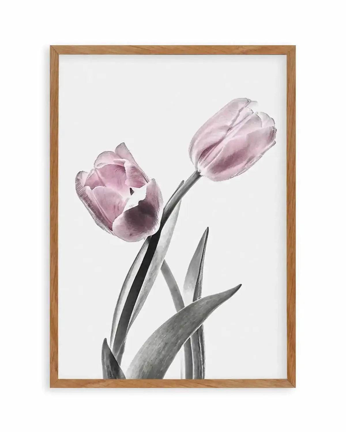 Pink Tulip Illustration II Art Print from Olive et Oriel where you can shop wallpaper and artworks online