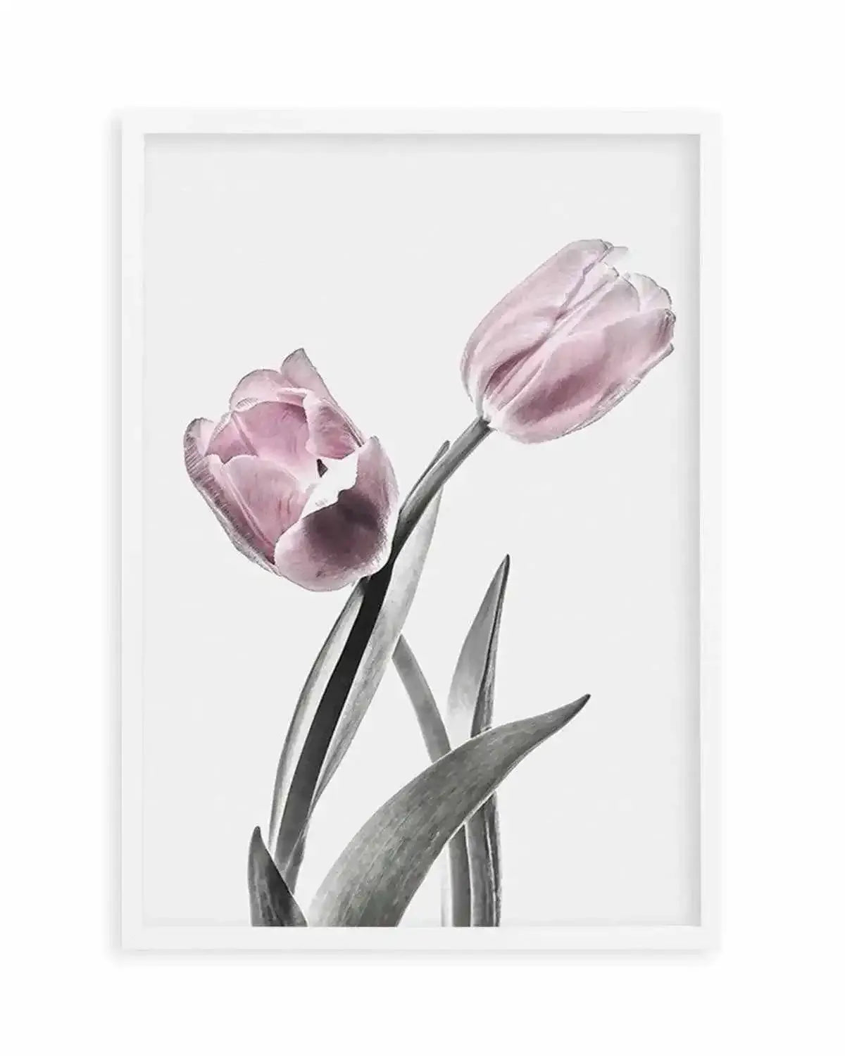 Pink Tulip Illustration II Art Print from Olive et Oriel where you can shop wallpaper and artworks online