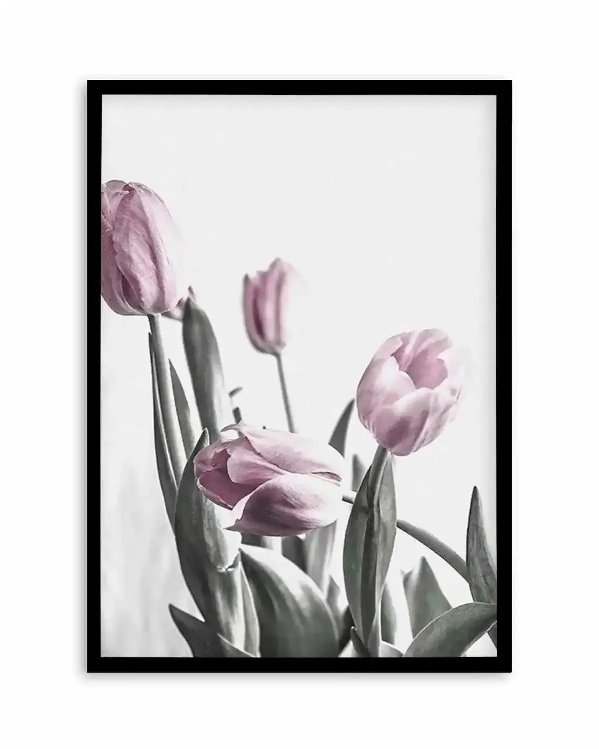 Pink Tulip Illustration III Art Print from Olive et Oriel where you can shop wallpaper and artworks online