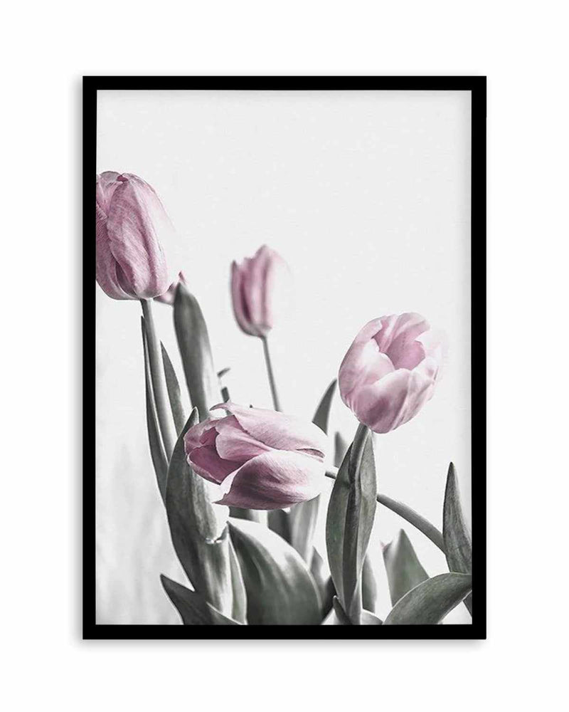 Pink Tulip Illustration III Art Print