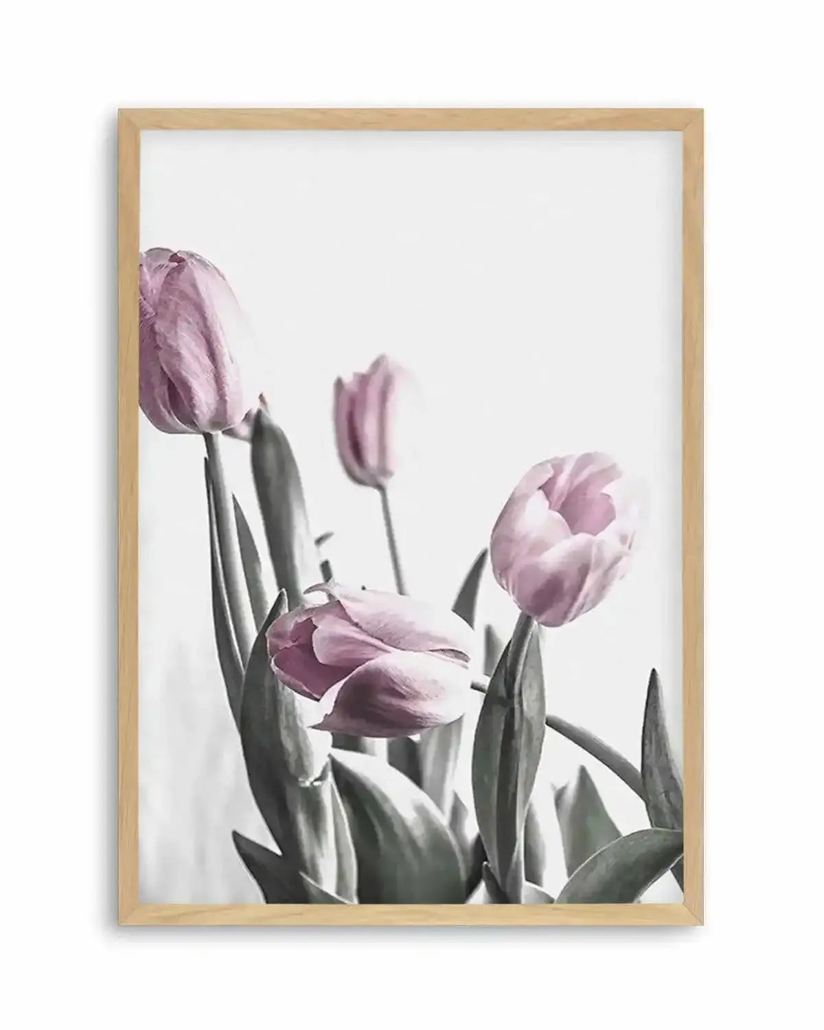 Pink Tulip Illustration III Art Print from Olive et Oriel where you can shop wallpaper and artworks online