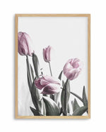 Pink Tulip Illustration III Art Print