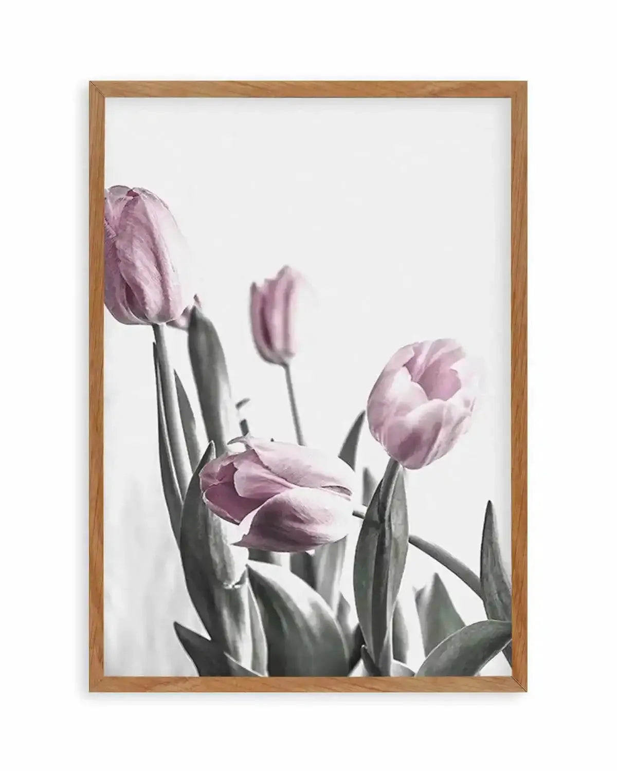 Pink Tulip Illustration III Art Print from Olive et Oriel where you can shop wallpaper and artworks online