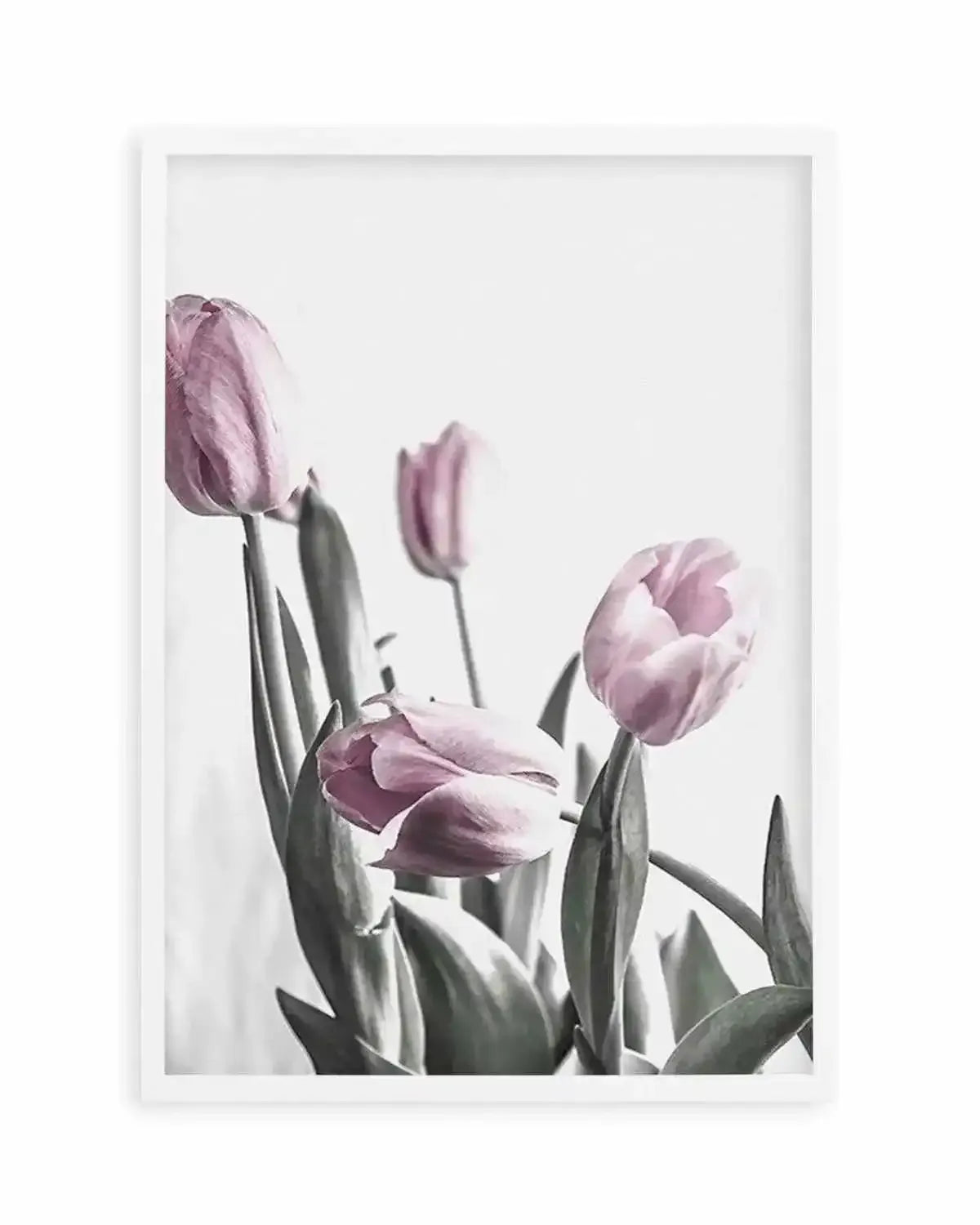 Pink Tulip Illustration III Art Print from Olive et Oriel where you can shop wallpaper and artworks online