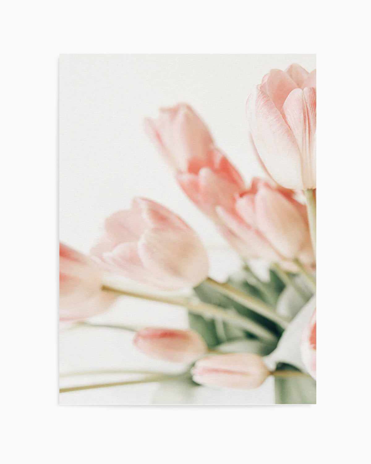 Pink Tulips I Art Print