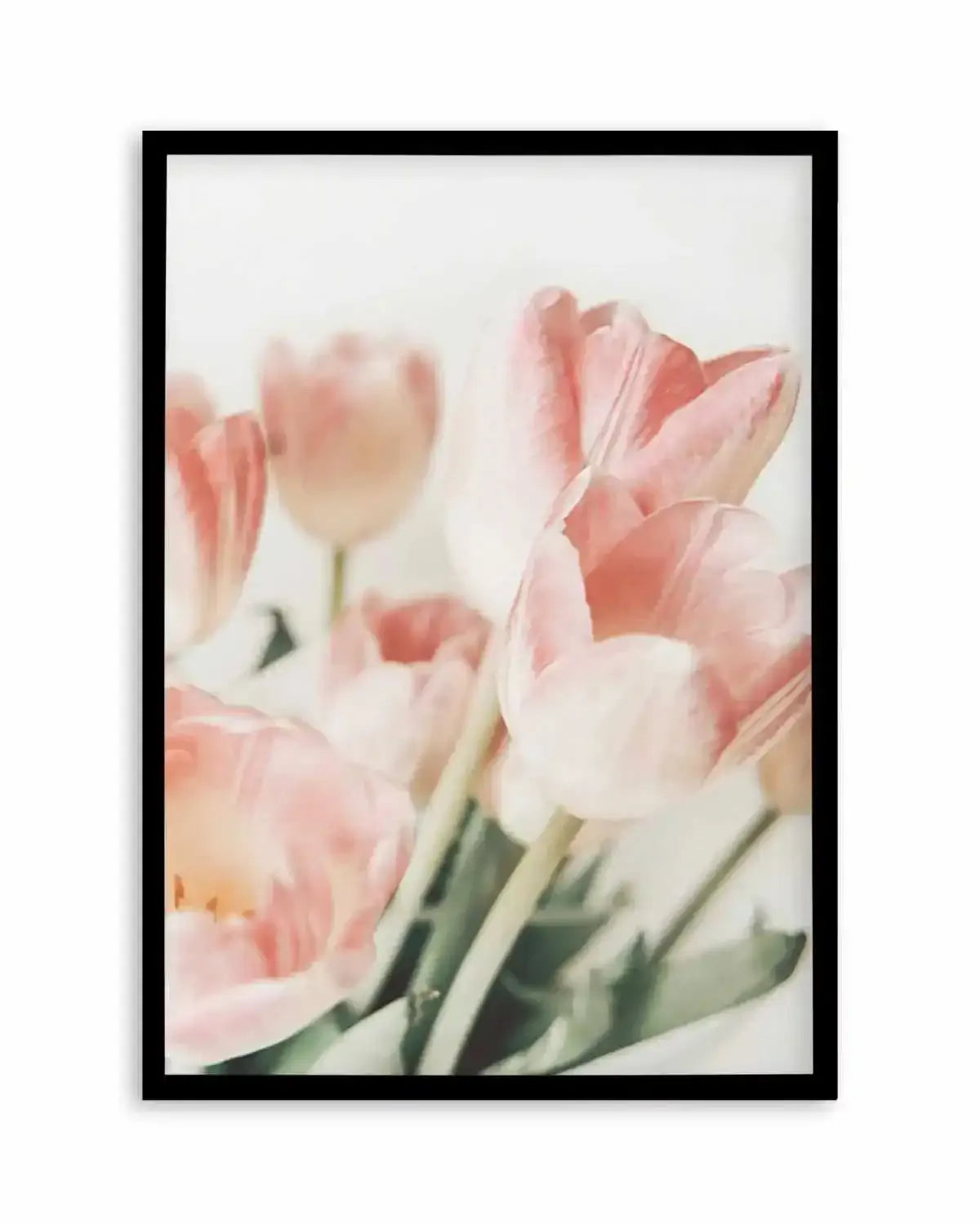 Pink Tulips II Art Print from Olive et Oriel where you can shop wallpaper and artworks online