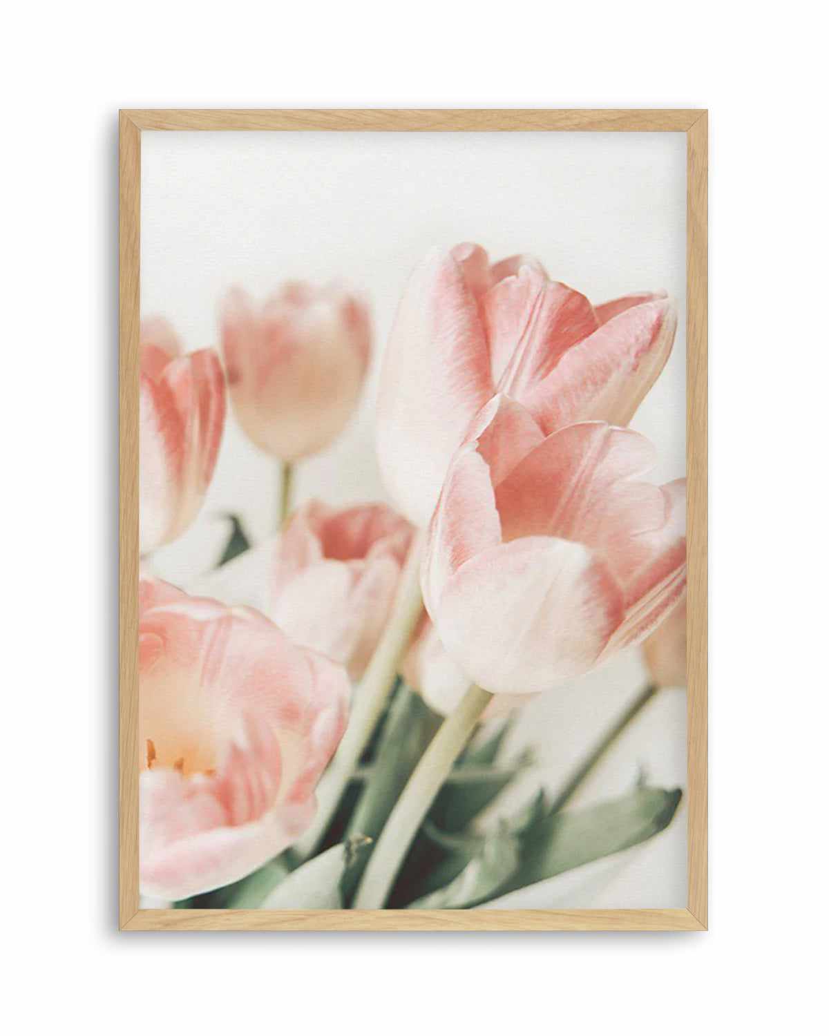 Pink Tulips II Art Print