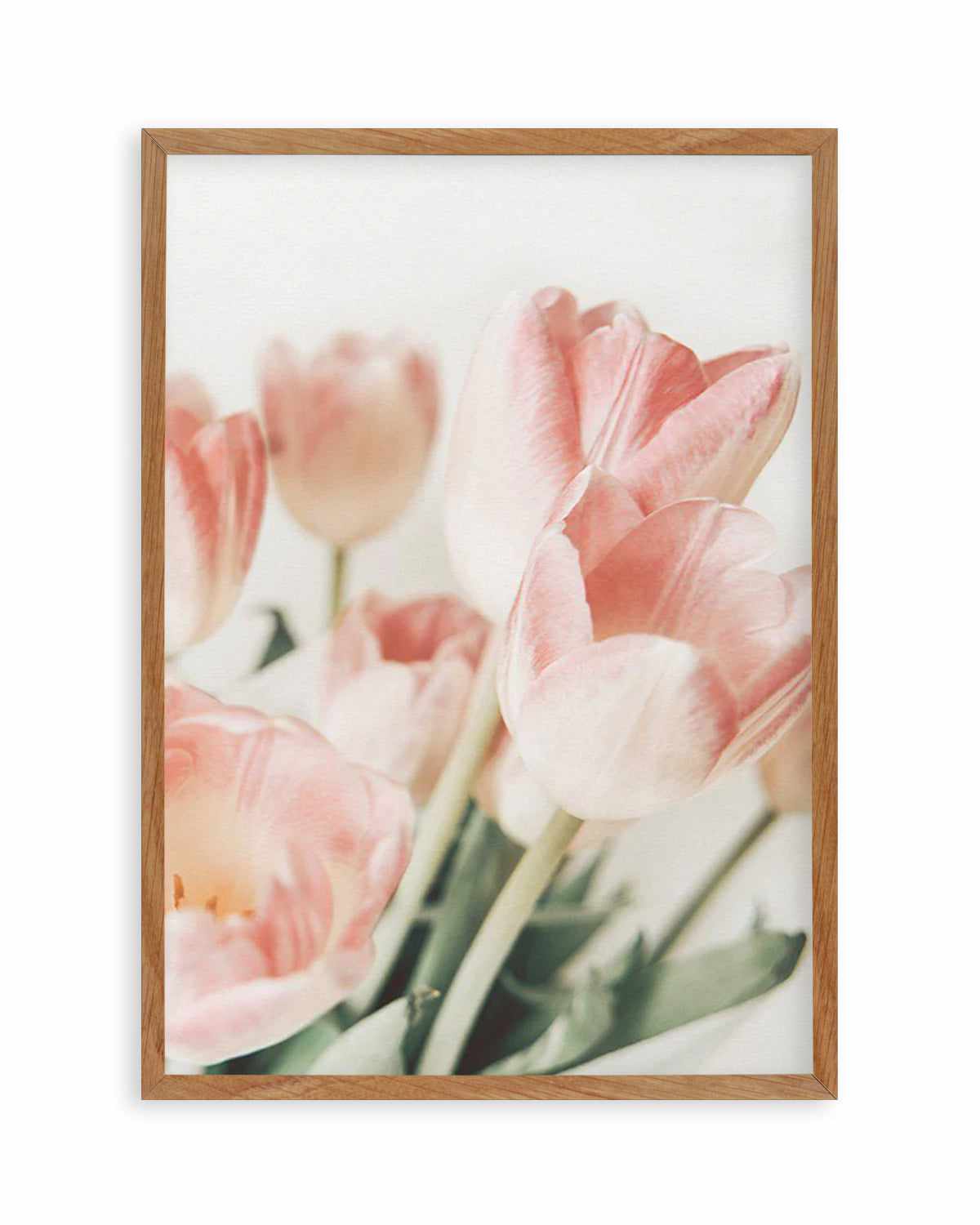 Pink Tulips II Art Print