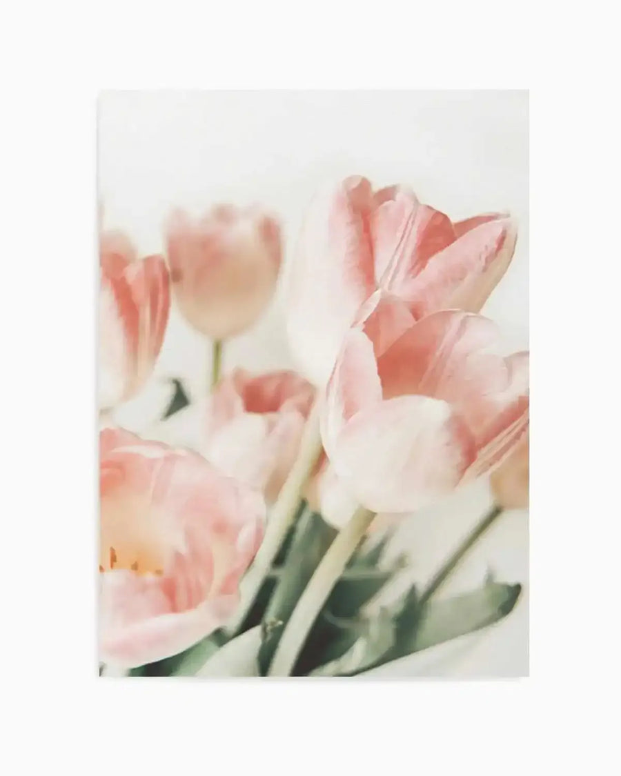 Soft focus photography art print featuring a bouquet of blush pink tulips with delicate white edges and visible petal texture, set against a bright, diffused white background. The composition captures the tulips from a slightly elevated angle, with green stems visible at the base.