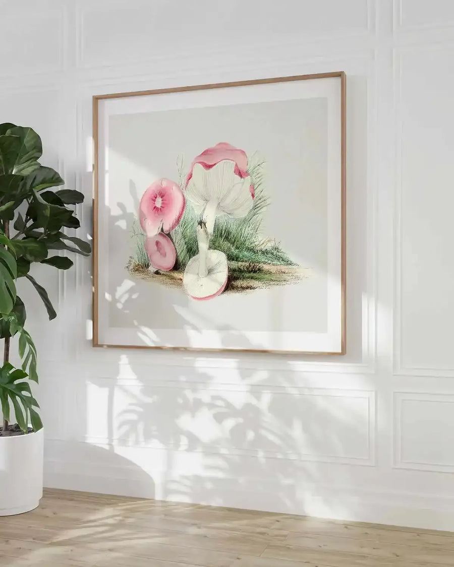 Pink Vintage Mushroom Illustration Art Print from Olive et Oriel where you can shop wallpaper and artworks online