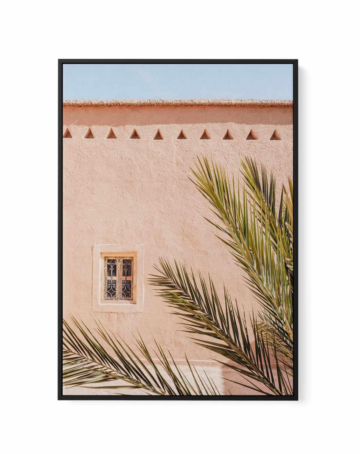 Pink Wall Palm Shadow by Photolovers | Framed Canvas Art Print