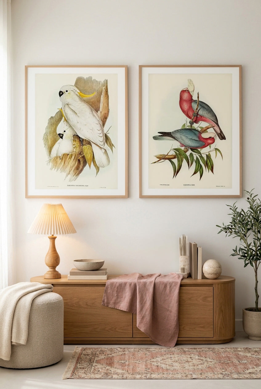 Pink Gallah & Yellow Crested Cockatoo Vintage Australian Bird Art Print Set of 2 | Matching Wall Art
