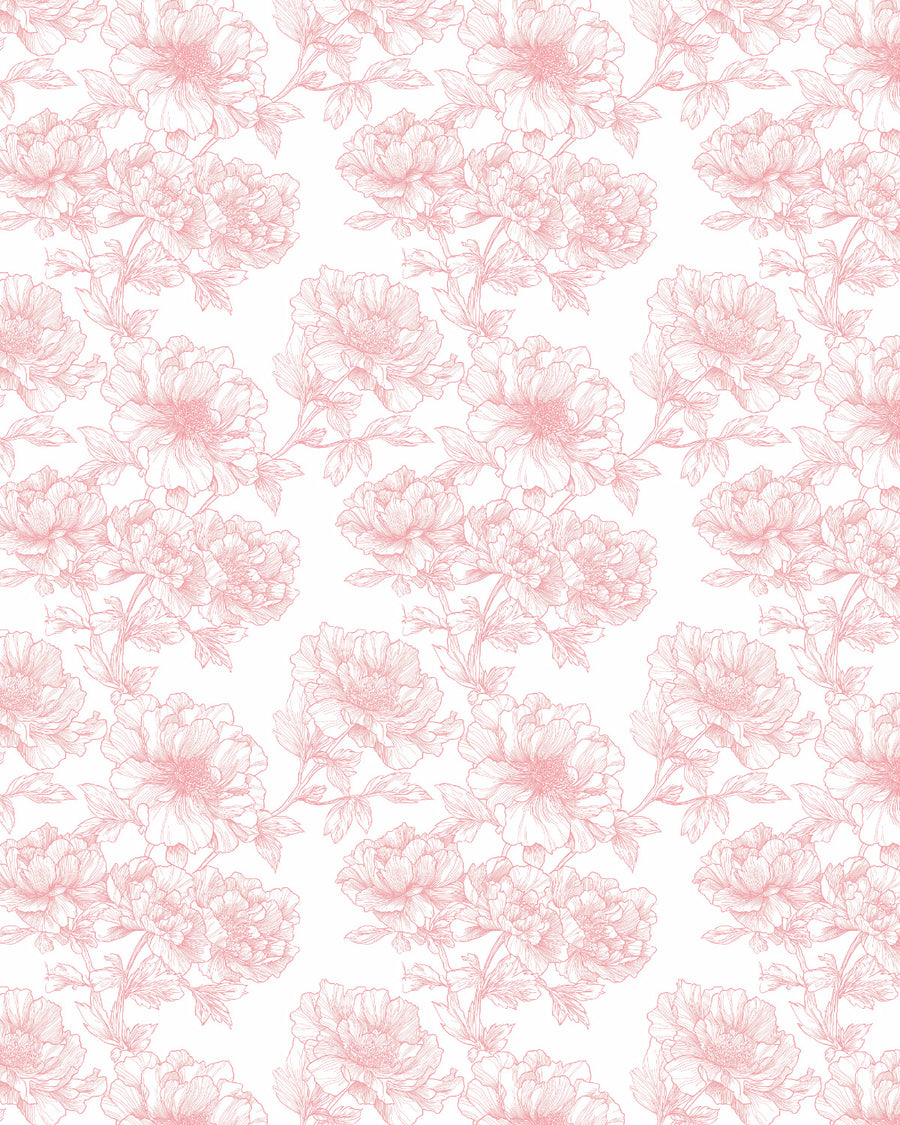 Pink Rosewater Sketch Wallpaper from Olive et Oriel where you can shop wallpaper and artworks online