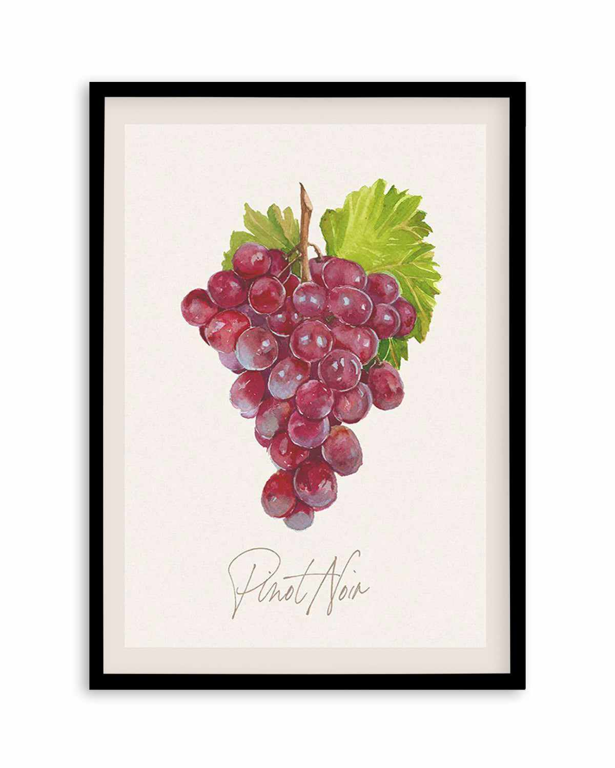 Pinot Noir Art Print