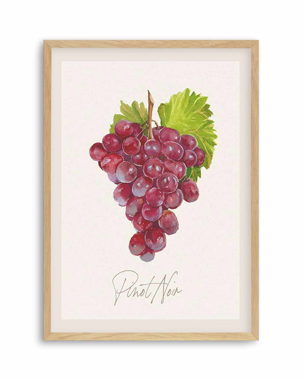 Pinot Noir Art Print