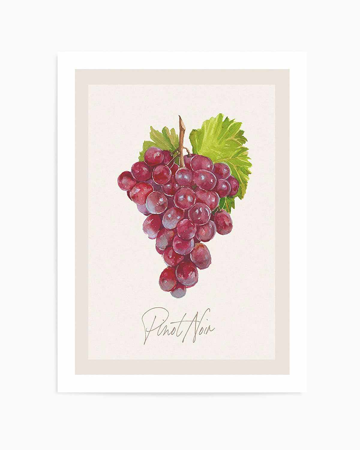 Pinot Noir Art Print