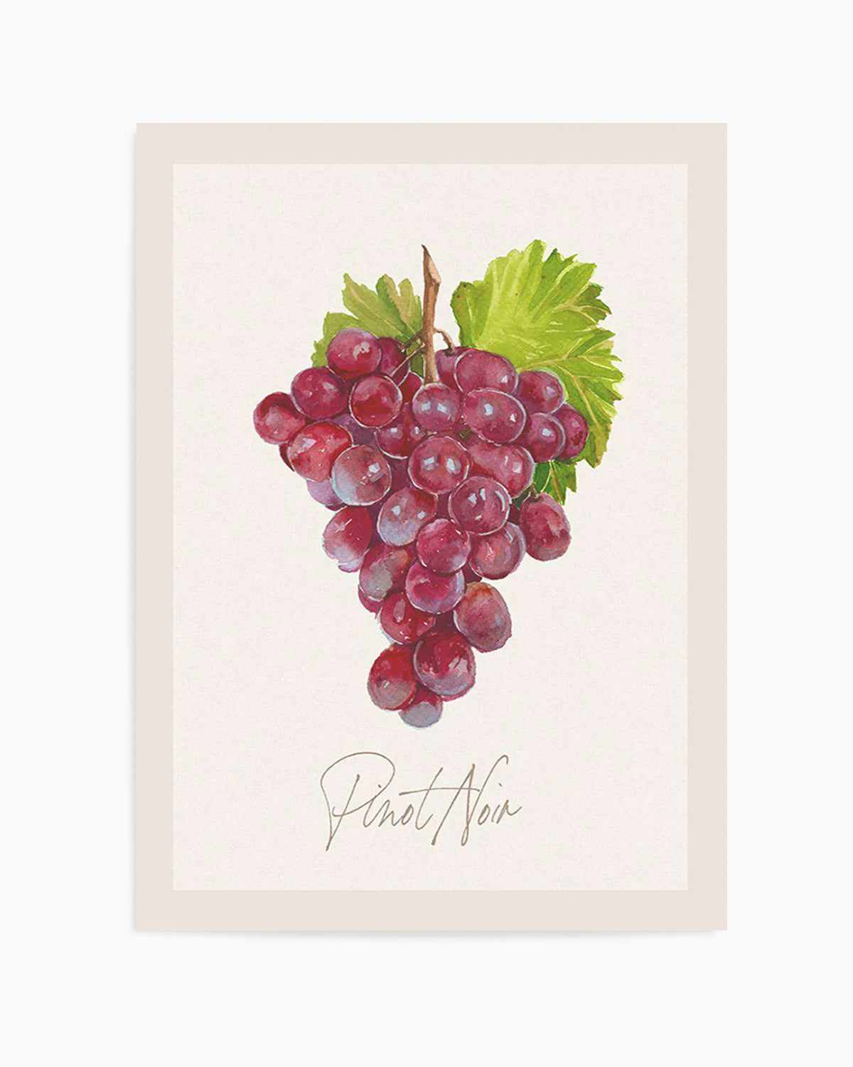 Pinot Noir Art Print