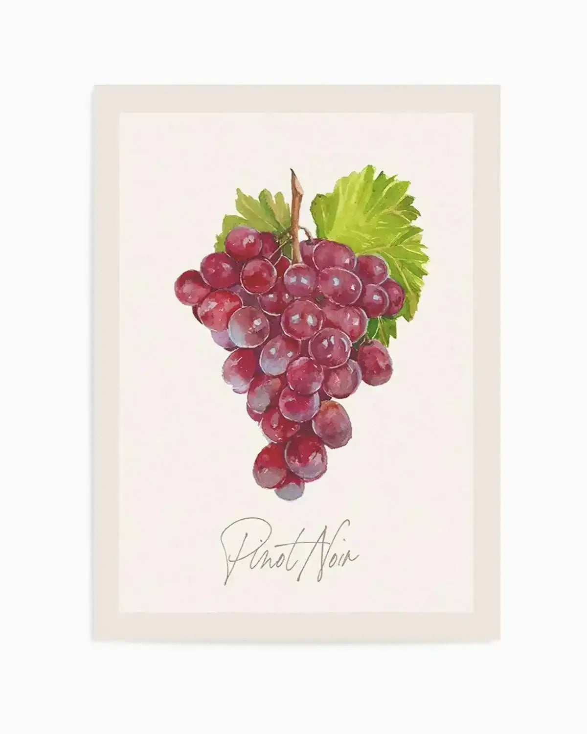 Pinot Noir Art Print from Olive et Oriel where you can shop wallpaper and artworks online