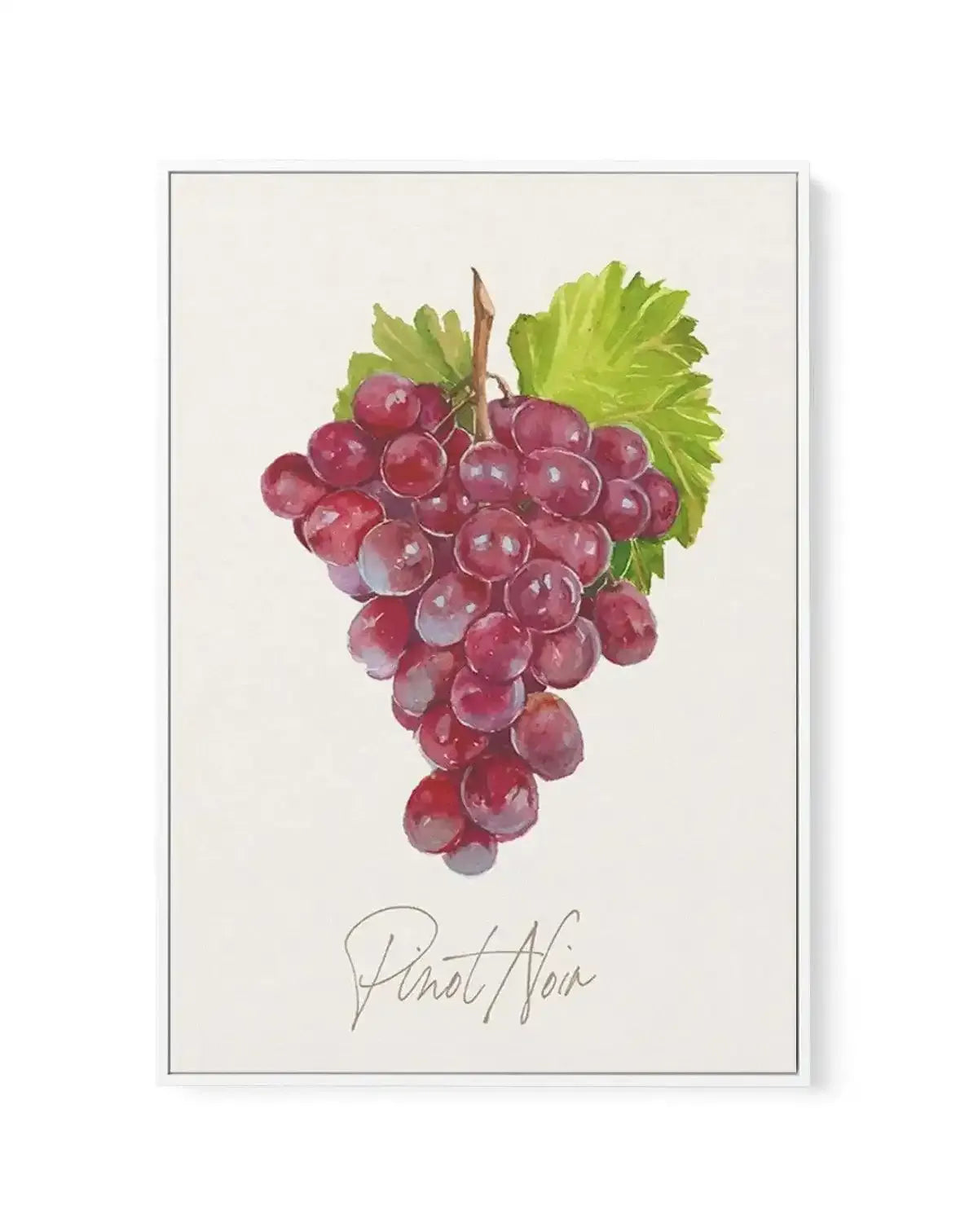 Pinot Noir | Framed Canvas-CANVAS-You can shop wall art online with Olive et Oriel for everything from abstract art to fun kids wall art. Our beautiful modern art prints and canvas art are available from large canvas prints to wall art paintings and our proudly Australian artwork collection offers only the highest quality framed large wall art and canvas art Australia - You can buy fashion photography prints or Hampton print posters and paintings on canvas from Olive et Oriel and have them deliv