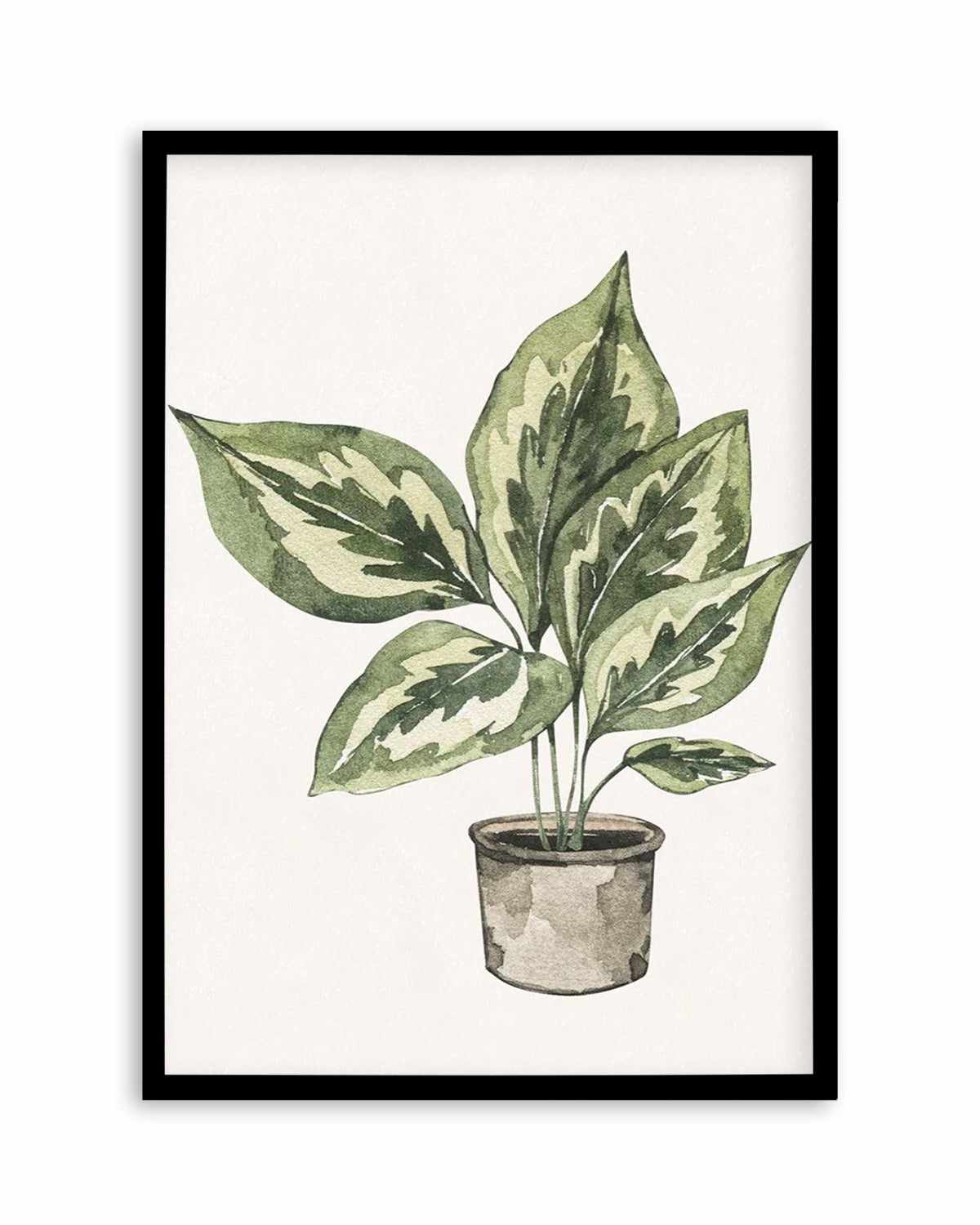 Plant Life Art Print