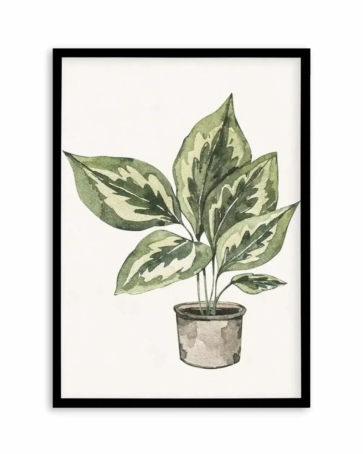 Plant Life Art Print from Olive et Oriel where you can shop wallpaper and artworks online