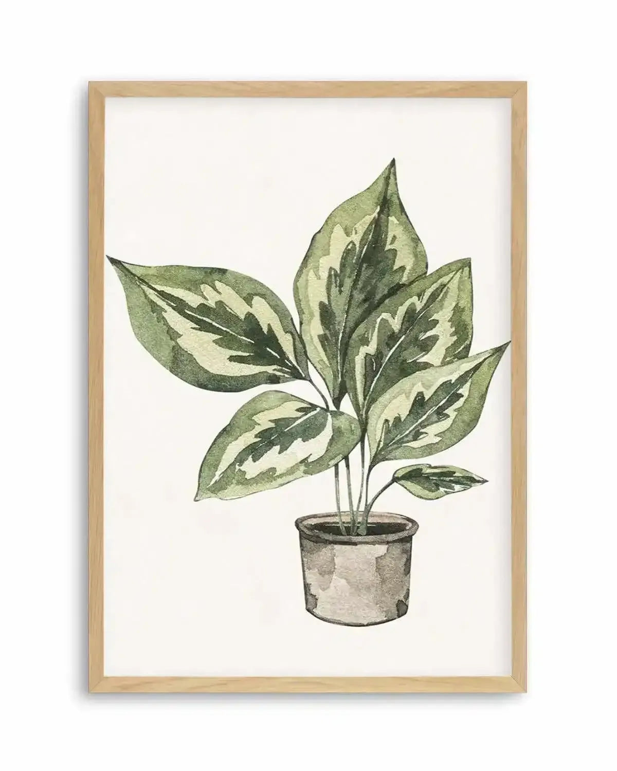Plant Life Art Print from Olive et Oriel where you can shop wallpaper and artworks online