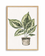 Plant Life Art Print