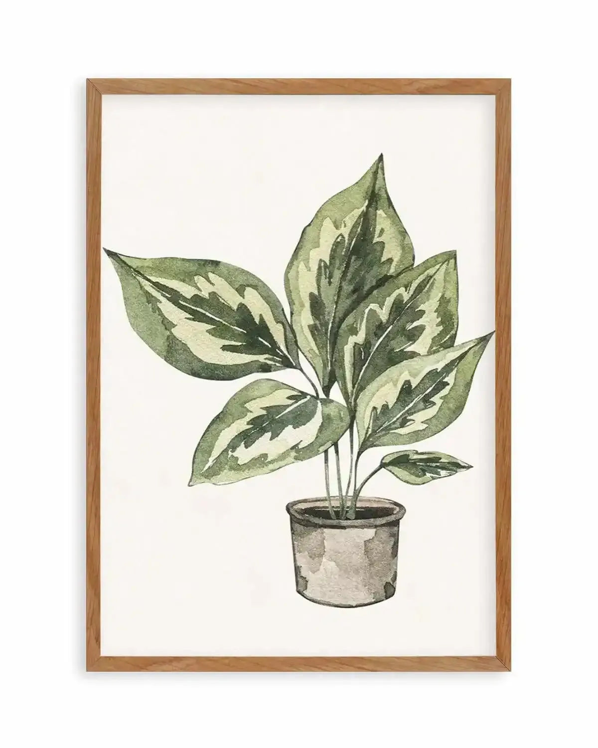Plant Life Art Print from Olive et Oriel where you can shop wallpaper and artworks online