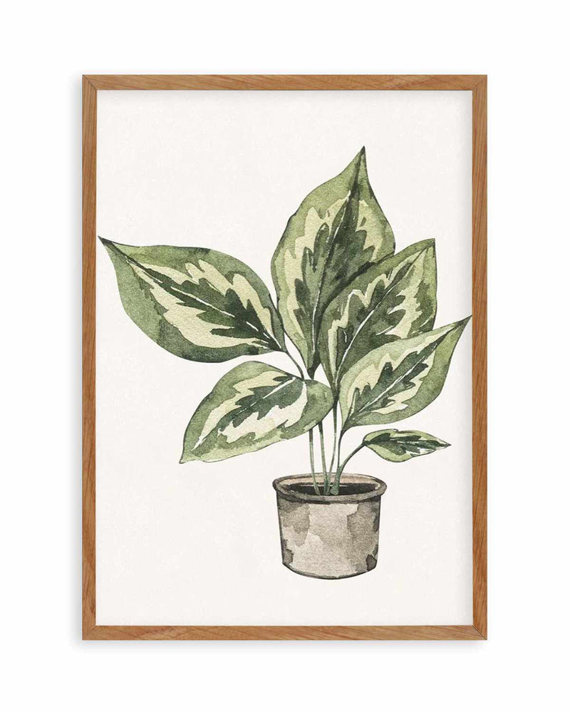 Plant Life Art Print