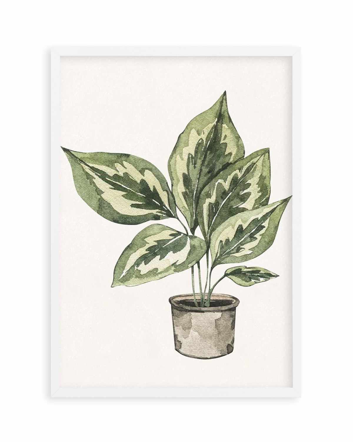 Plant Life Art Print