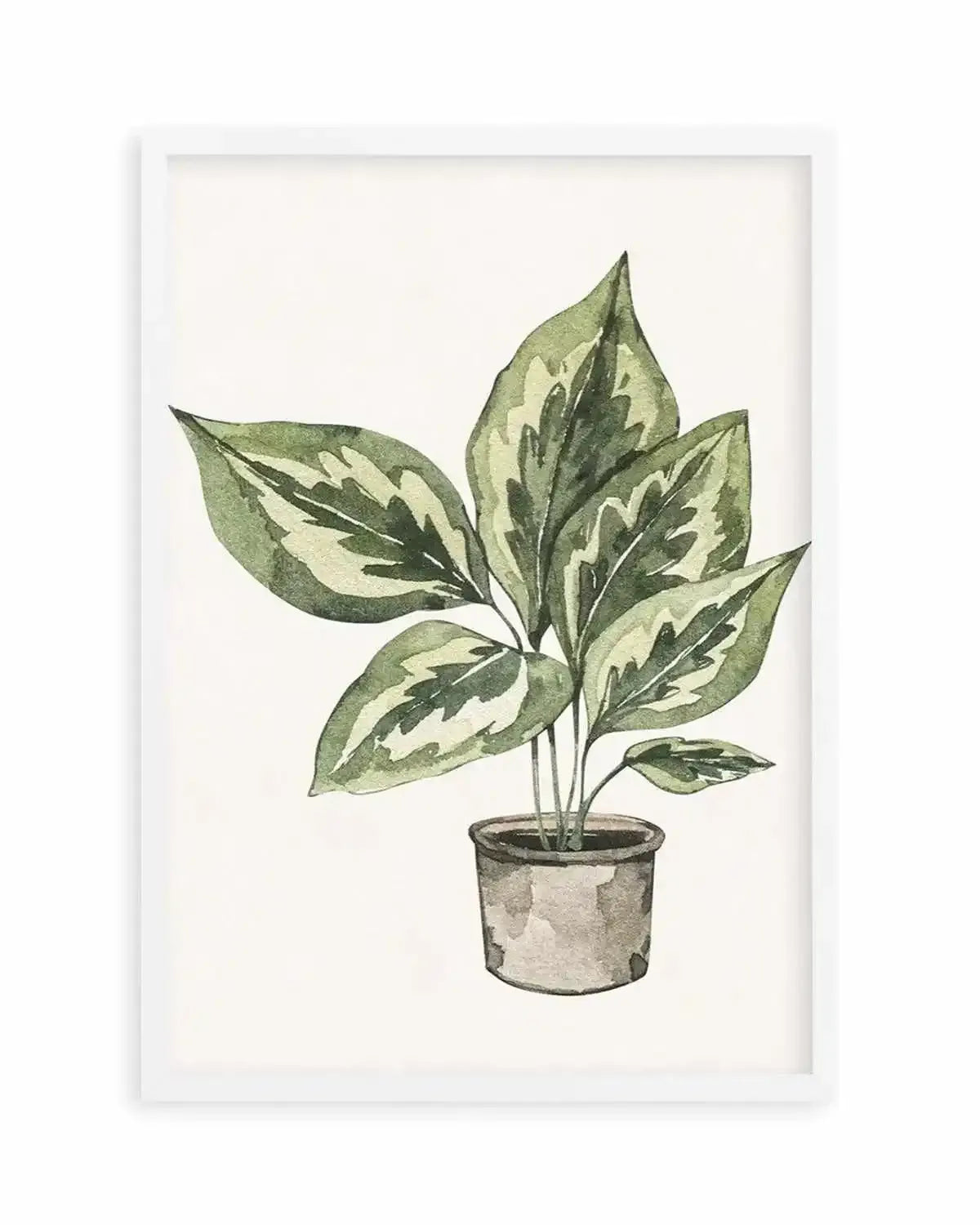 Plant Life Art Print from Olive et Oriel where you can shop wallpaper and artworks online