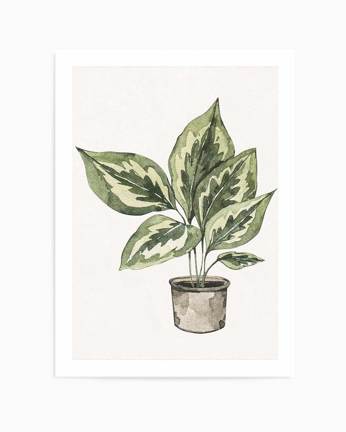 Plant Life Art Print