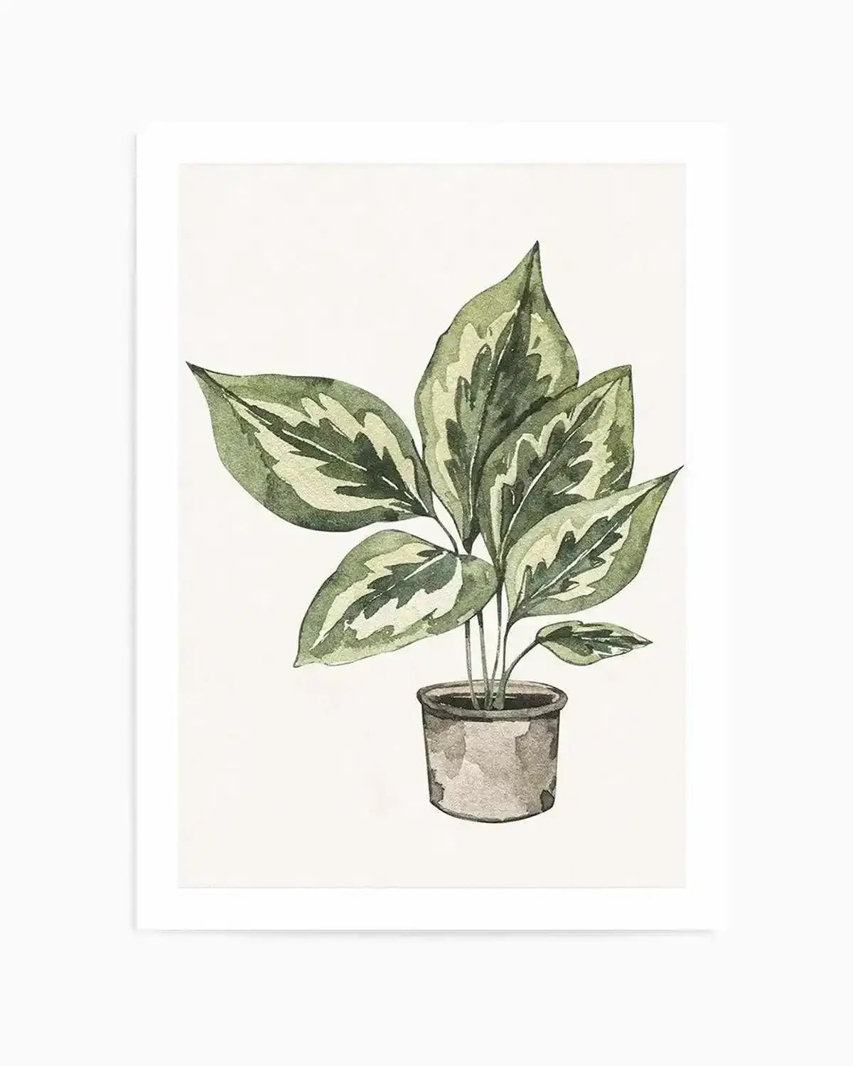 Plant Life Art Print from Olive et Oriel where you can shop wallpaper and artworks online