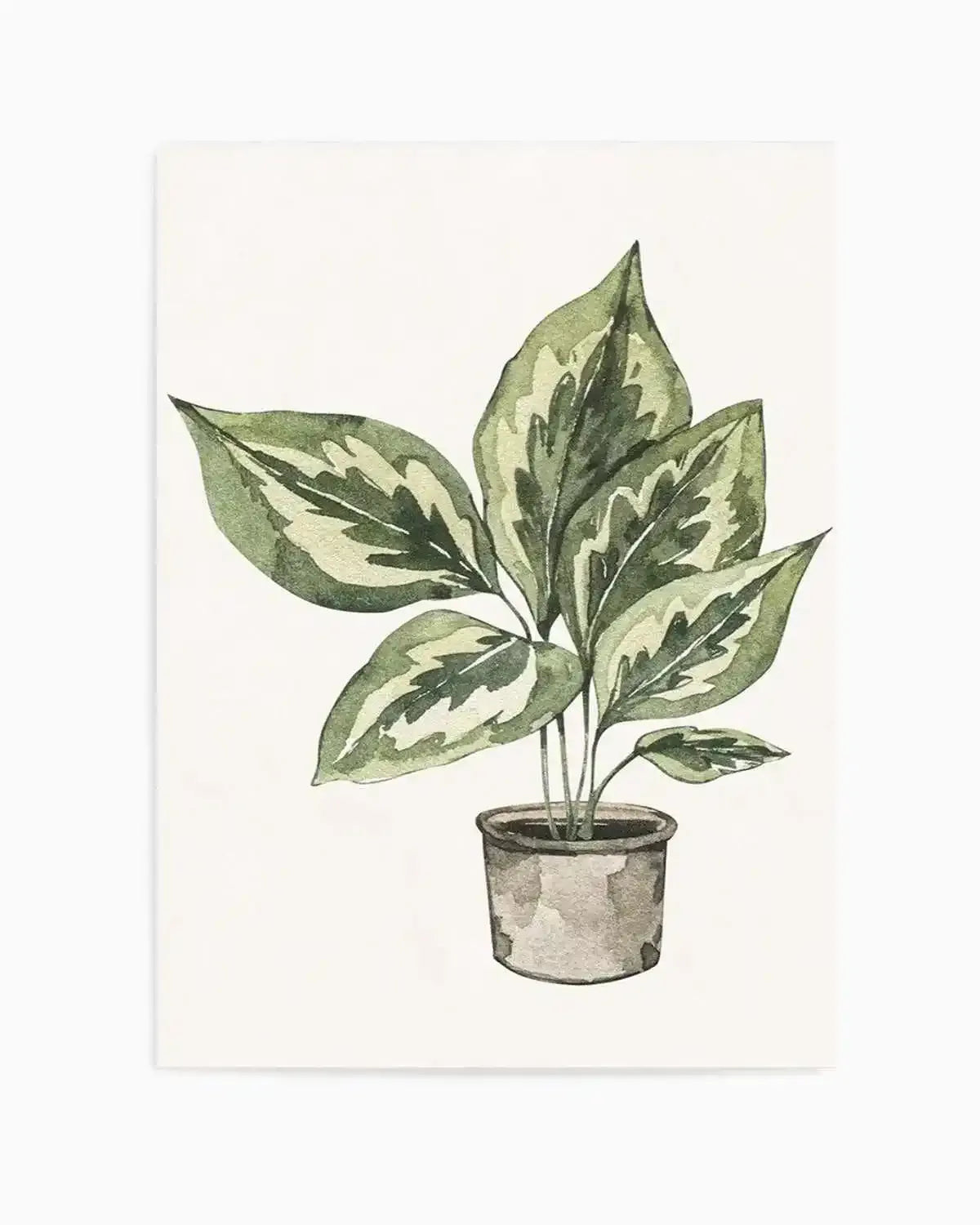Plant Life Art Print from Olive et Oriel where you can shop wallpaper and artworks online