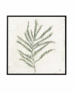 Plantlife I Green | Framed Canvas Art Print