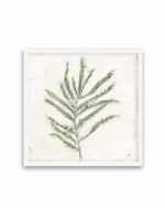 Plantlife I Green | Art Print
