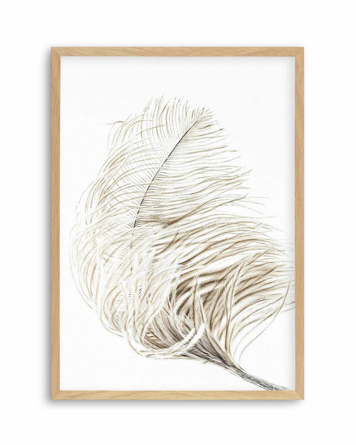 Plume Art Print