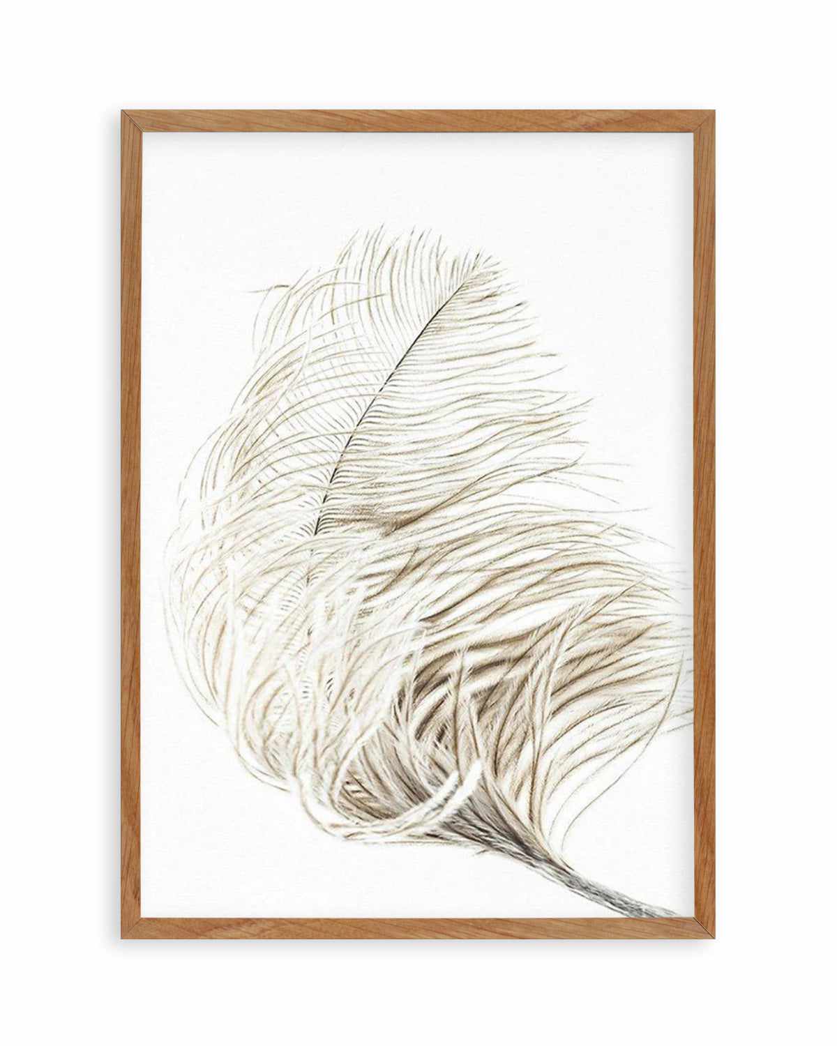 Plume Art Print